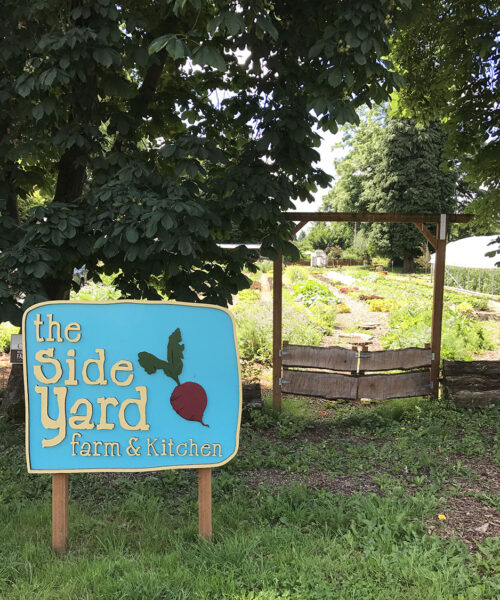 the side yard the side yard