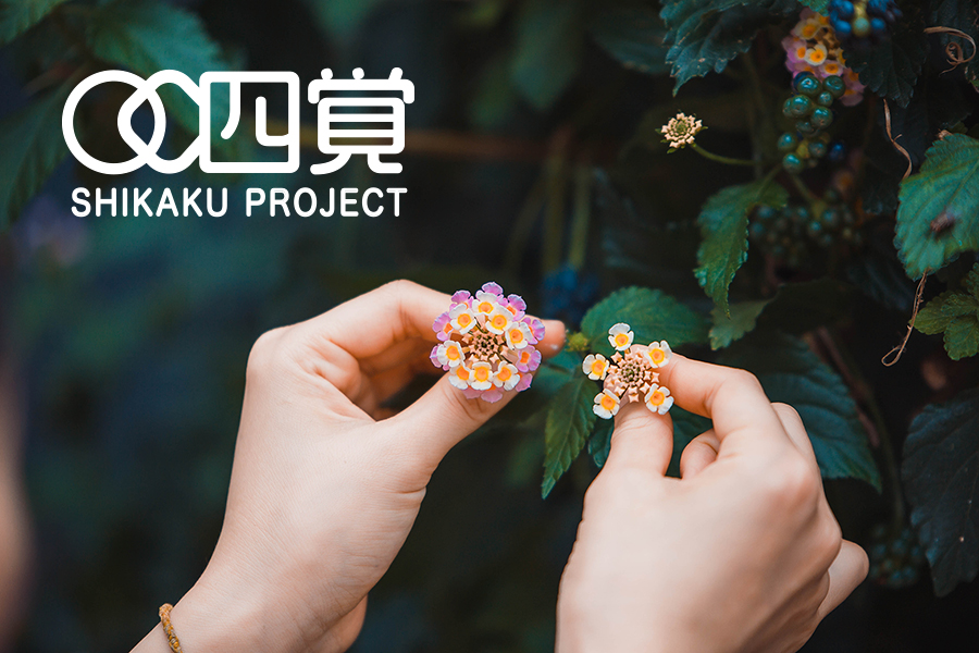 4kaku project