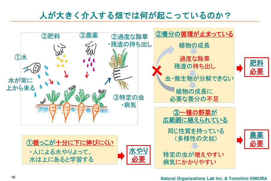 畑2