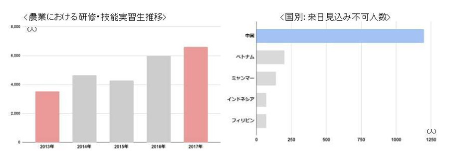 農業分野の研修・技能実習生