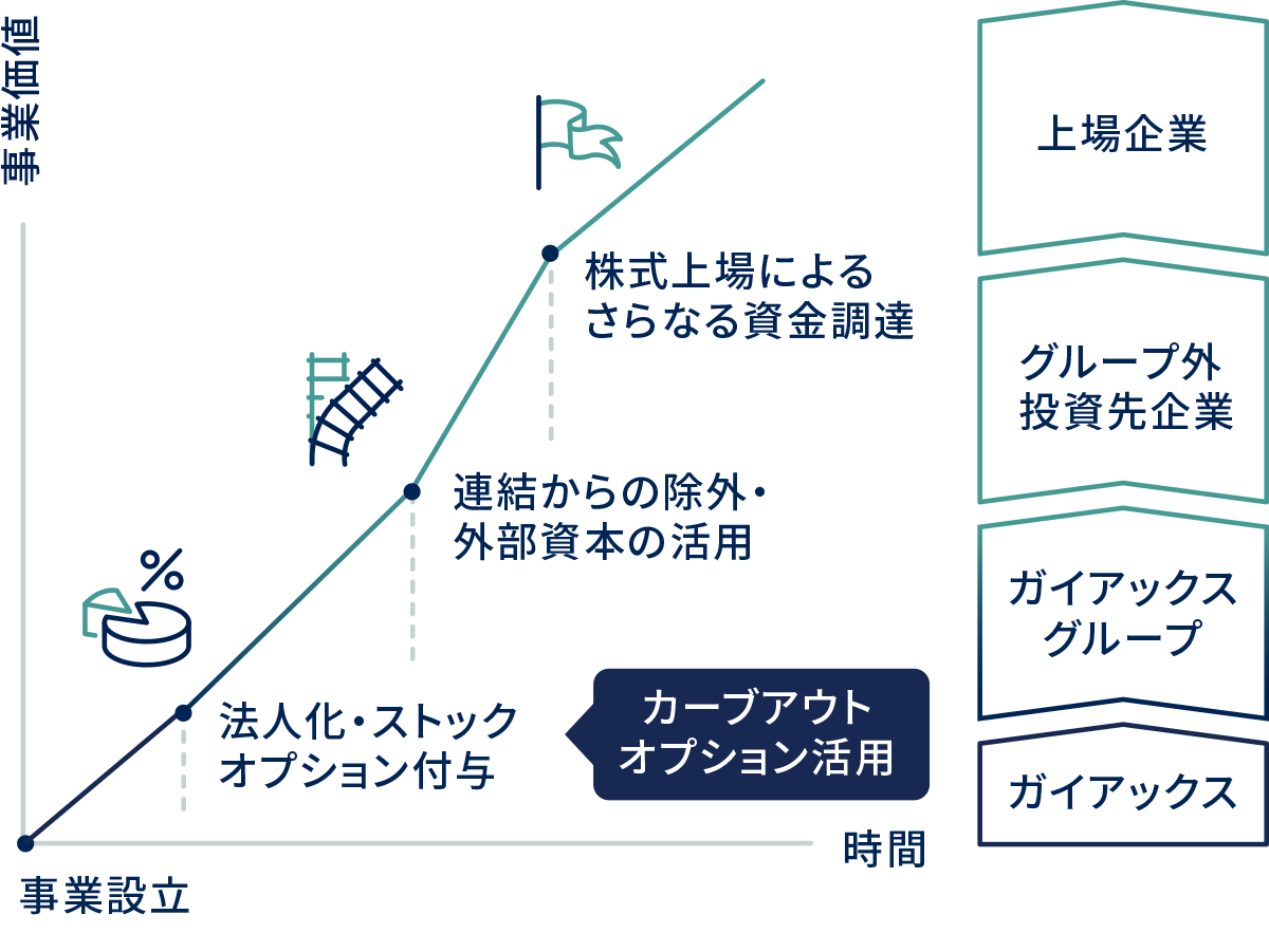 カーブアウトオプション制度