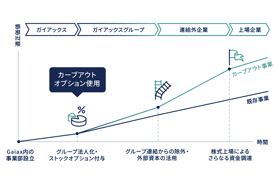 カーブアウトオプション