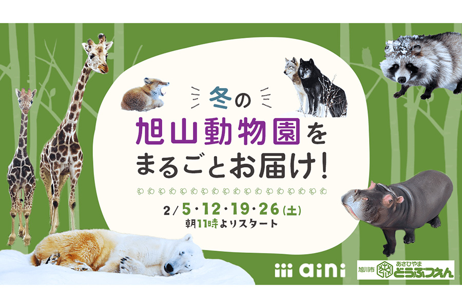 冬の旭山動物園をまるごとお届け！